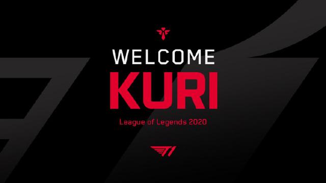 显著放大 显著放大